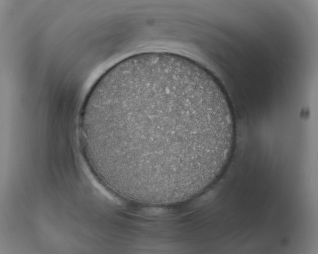 X0000112831517200909111345