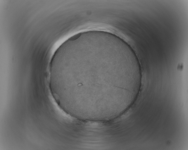 X0000112831520200909111345