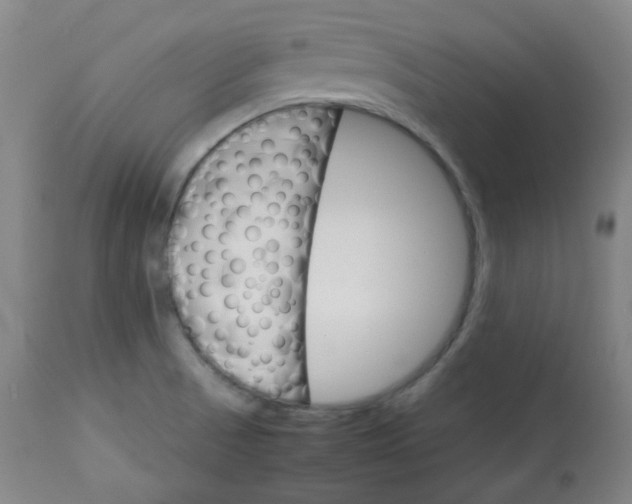 X0000112831521200909111345