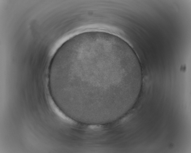 X0000112831523200909111345