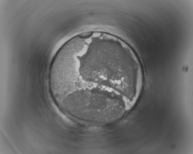 X0000112831525200909111345