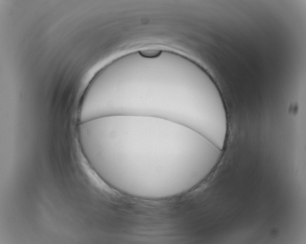 X0000112831526200909111345