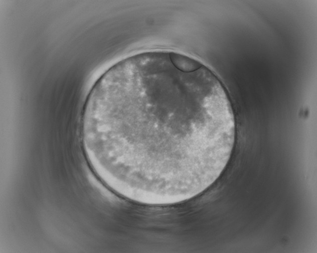 X0000112831527200909111345