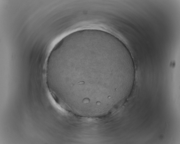 X0000112831528200909111345