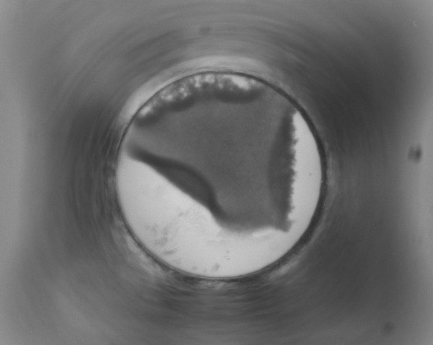 X0000112831529200909111345