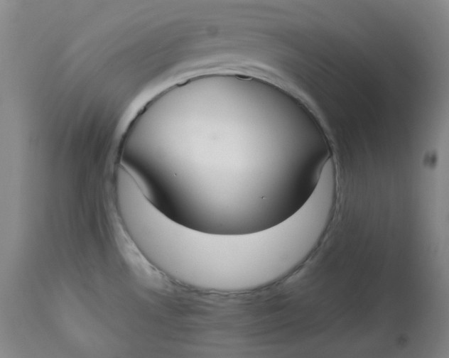 X0000112831530200909111345