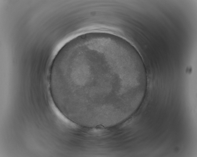 X0000112831531200909111345