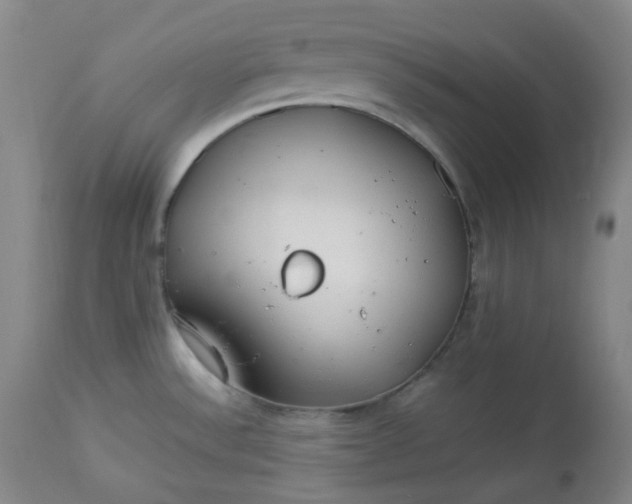 X0000112831532200909111345