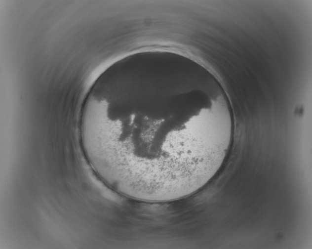 X0000112831533200909111345