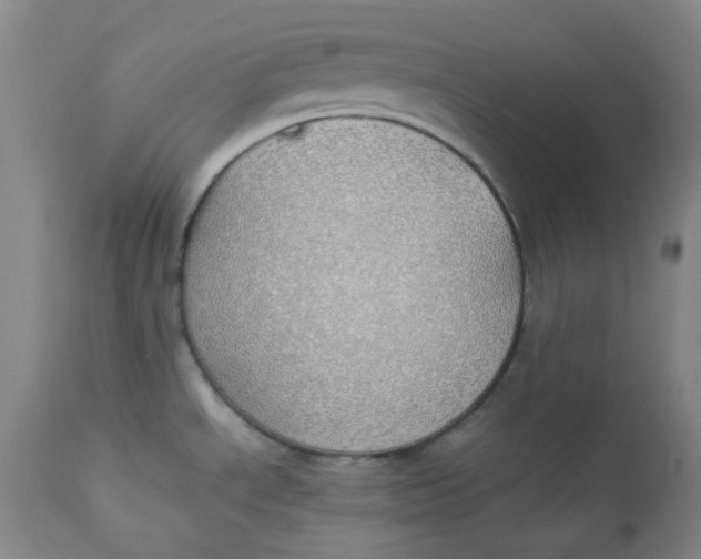 X0000112831534200909111345