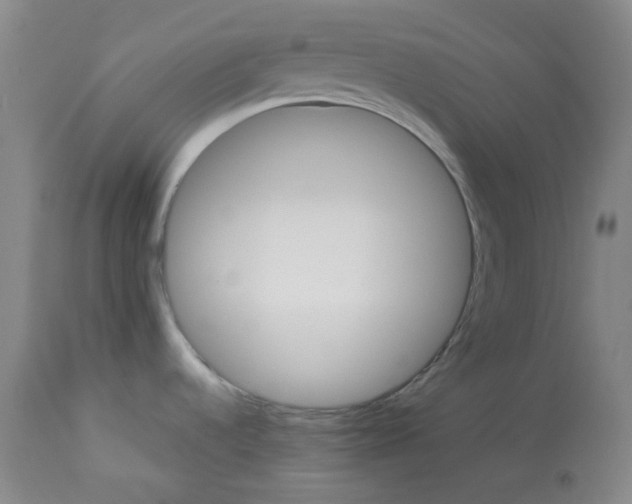 X0000112831536200909111345