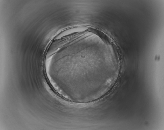 X0000112830002200909181700