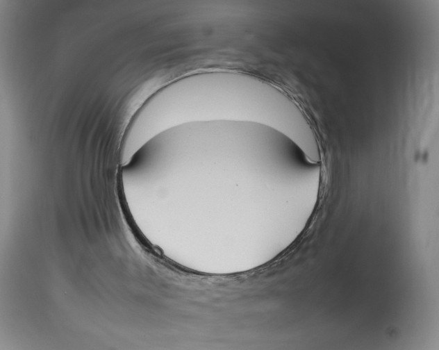 X0000112830003200909181700