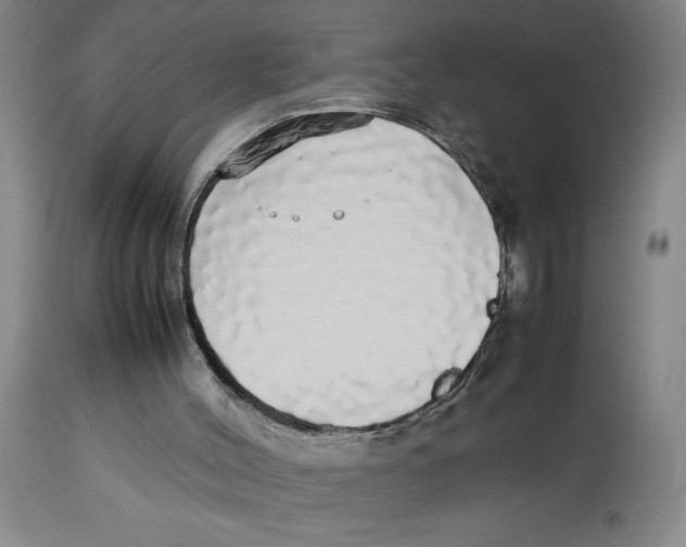 X0000112830004200909181700