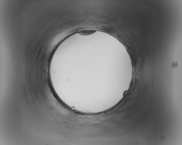 X0000112830005200909181700