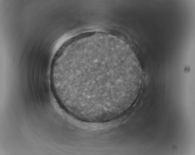 X0000112830006200909181700