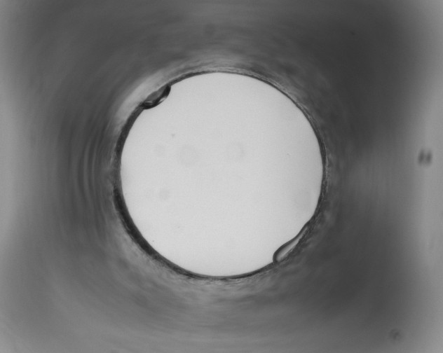 X0000112830007200909181700