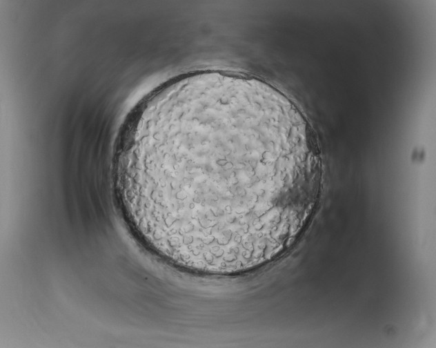 X0000112830008200909181700