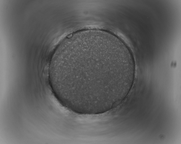 X0000112830009200909181700