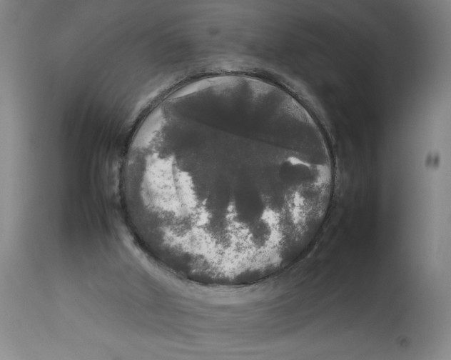 X0000112830010200909181700