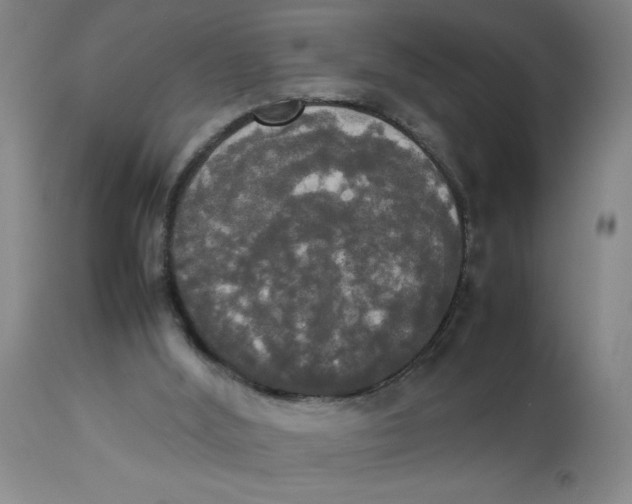 X0000112830012200909181700