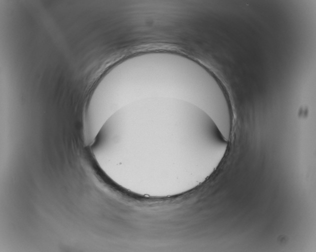 X0000112830013200909181700