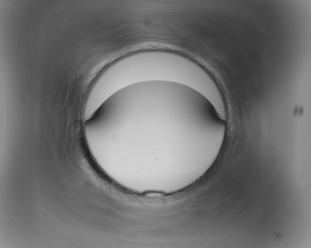 X0000112830015200909181700