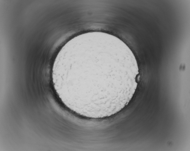 X0000112830016200909181700