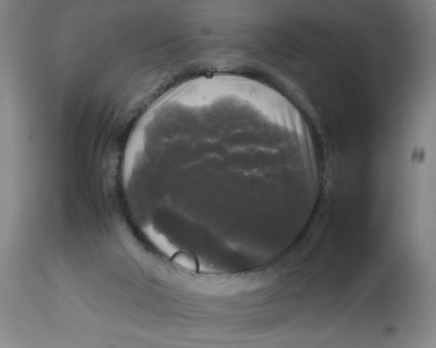 X0000112830018200909181700