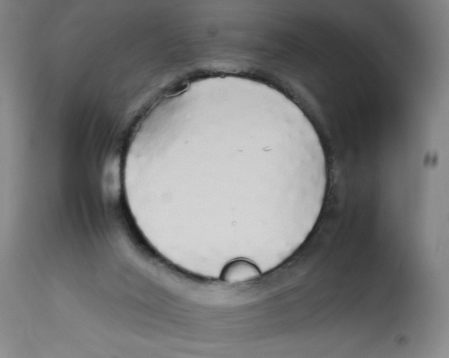 X0000112830020200909181700