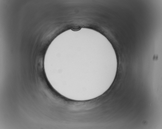 X0000112830021200909181700