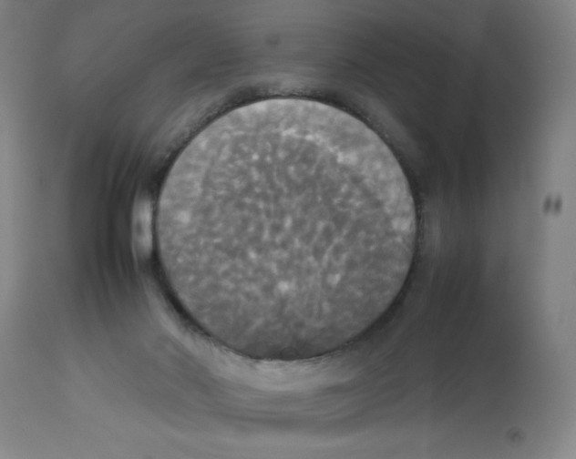 X0000112830022200909181700