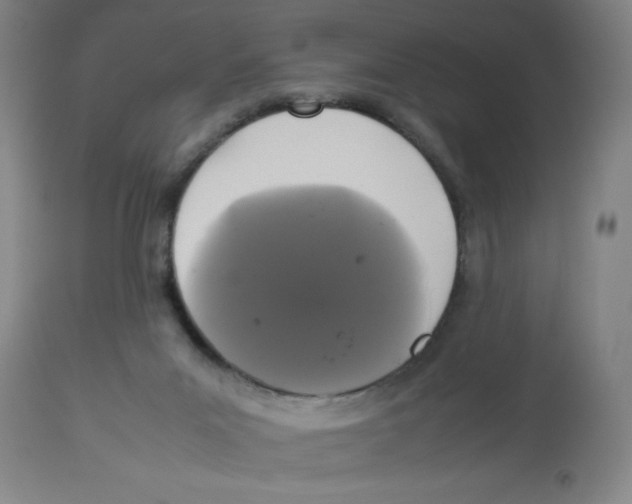 X0000112830023200909181700