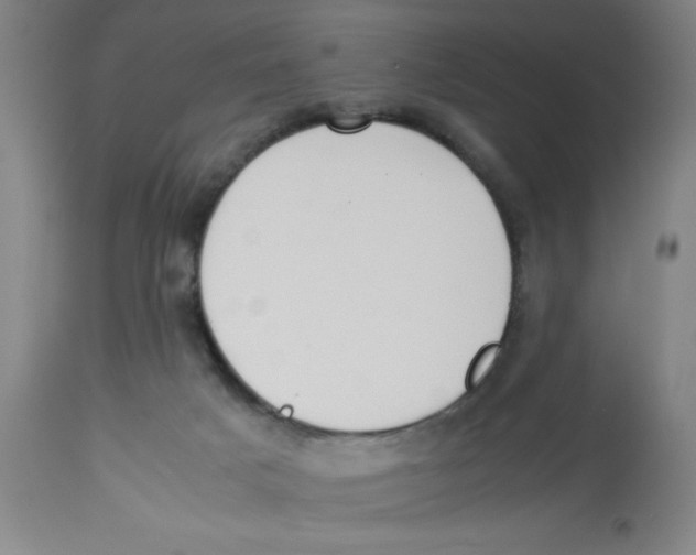 X0000112830025200909181700