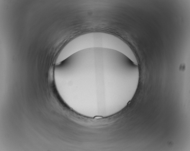 X0000112830027200909181700