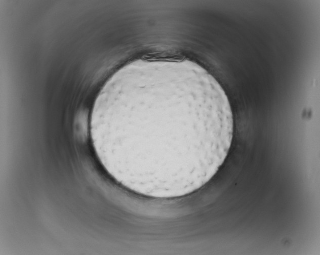 X0000112830028200909181700