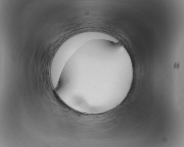 X0000112830029200909181700