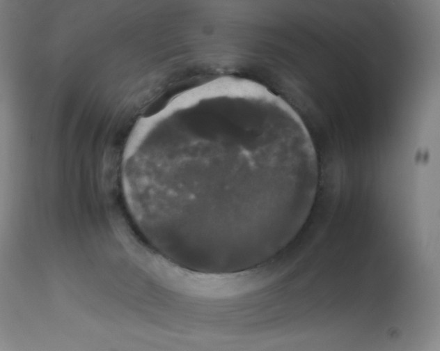 X0000112830030200909181700