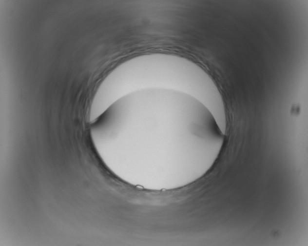 X0000112830033200909181700