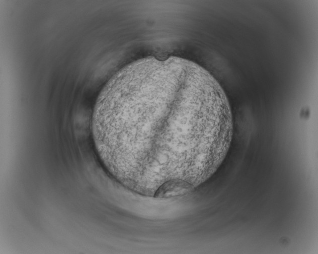 X0000112830034200909181700