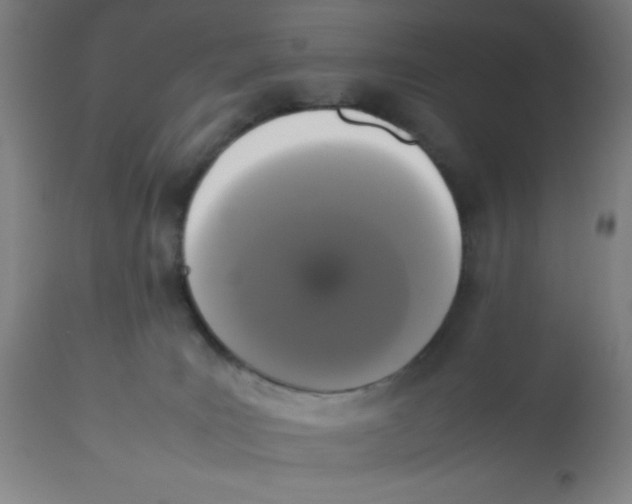 X0000112830035200909181700