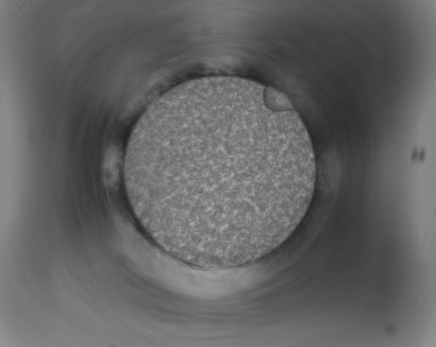 X0000112830038200909181700