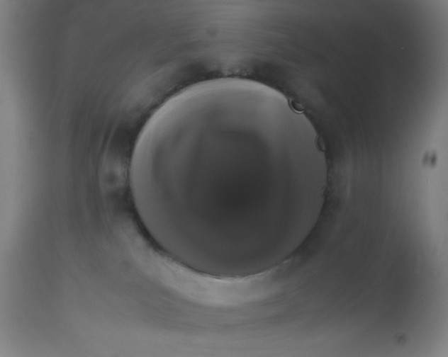 X0000112830039200909181700