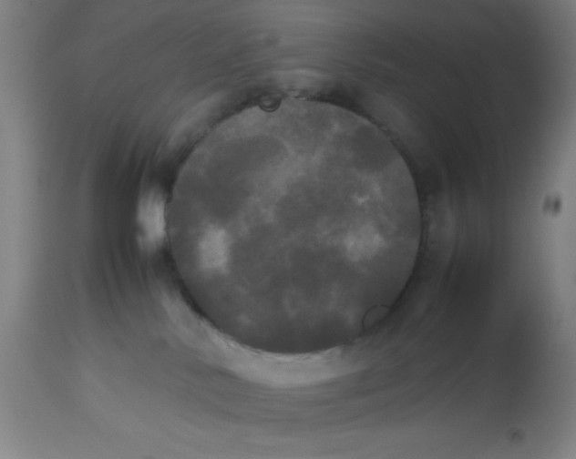 X0000112830042200909181700