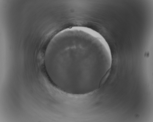 X0000112830043200909181700