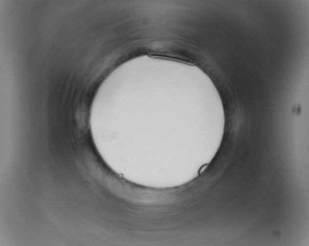 X0000112830044200909181700