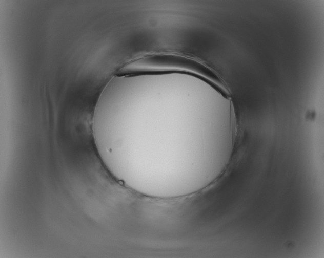 X0000112830045200909181700