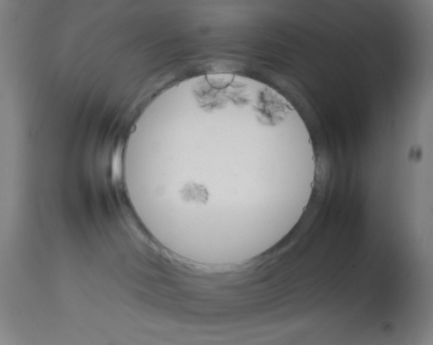 X0000112830046200909181700