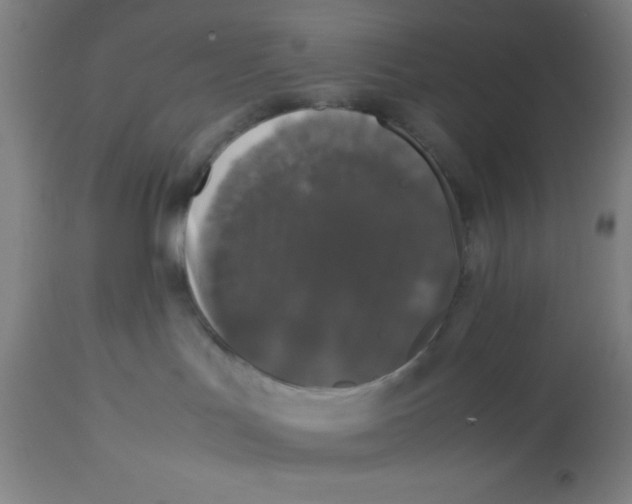 X0000112830047200909181700