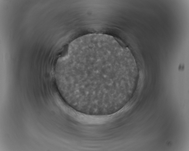 X0000112830048200909181700